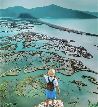 아파트 Caretta Caretta *